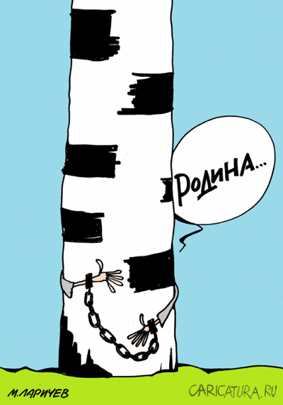 Карикатура "Березка", Михаил Ларичев