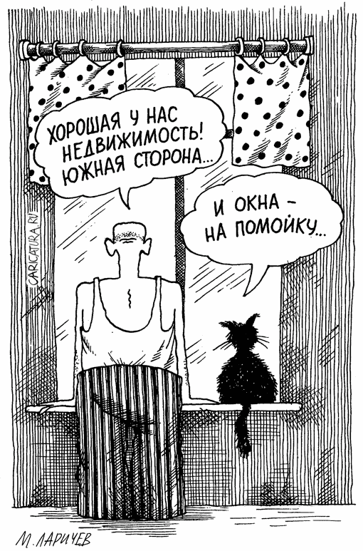 Карикатура "Удачное жилье", Михаил Ларичев