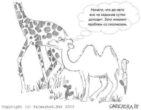 Карикатура "Верблюд и Жираф", Екатерина Лиховидова