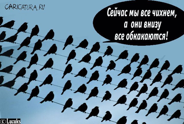 Карикатура "Чихание", Сергей Луцюк