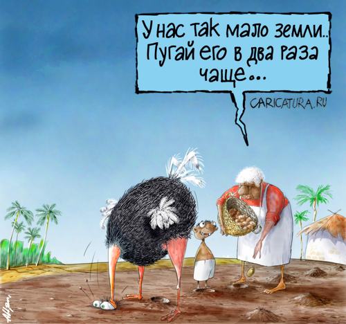 Карикатура "Картошка", Александр Цап