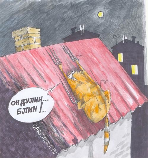 Карикатура "Кот на крыше", Александр Цап