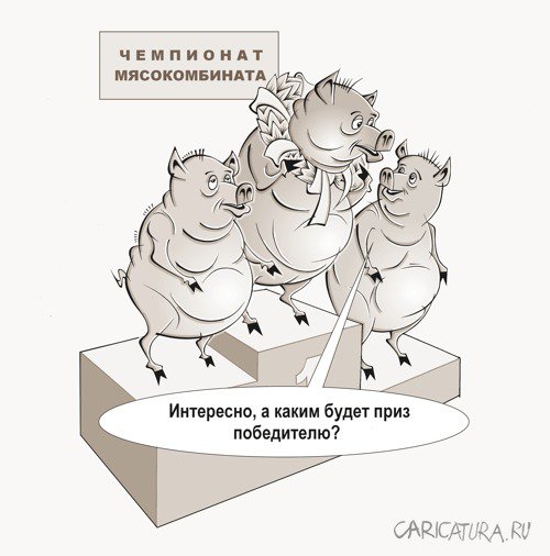 Карикатура "Чемпионат", Виталий Маслов