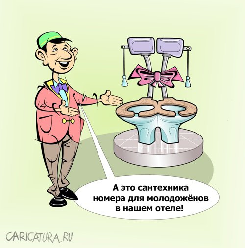 Карикатура "Отель 6 звёзд", Виталий Маслов