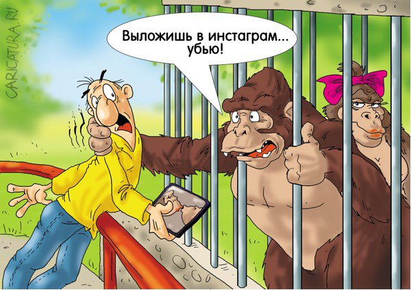 Карикатура "Эволюция", Александр Ермолович