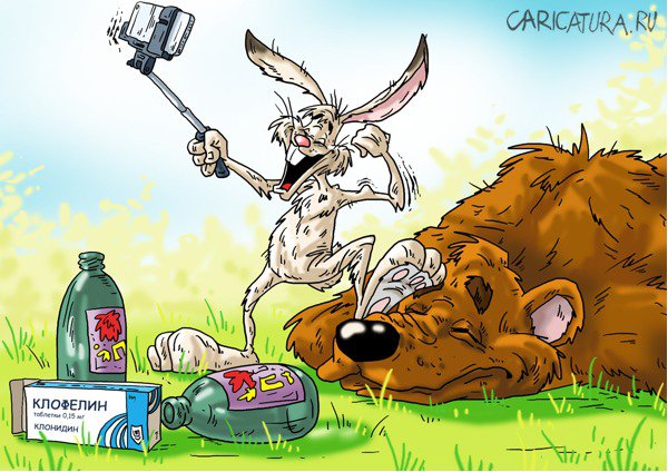 Карикатура "Недолго радовали лайки", Александр Ермолович