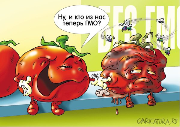 Карикатура "После недели на прилавке", Александр Ермолович