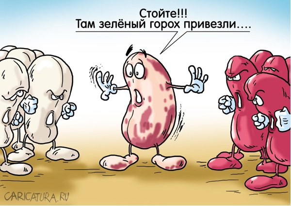 Карикатура "Толерантность", Александр Ермолович
