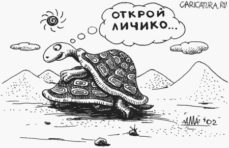 Карикатура "Черепахи", Александр Мажуга
