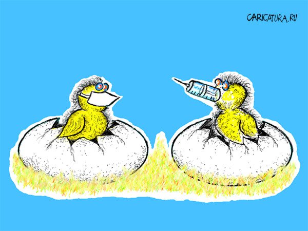 Карикатура "Цыплята", Владимир Мееров