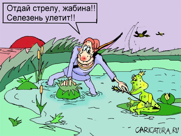 Карикатура "Селезень", Максим Иванов