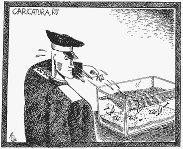 Карикатура "Звезда", Алексей Огурцов