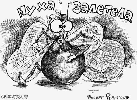 Карикатура "Муха залетела", Евгений Перелыгин