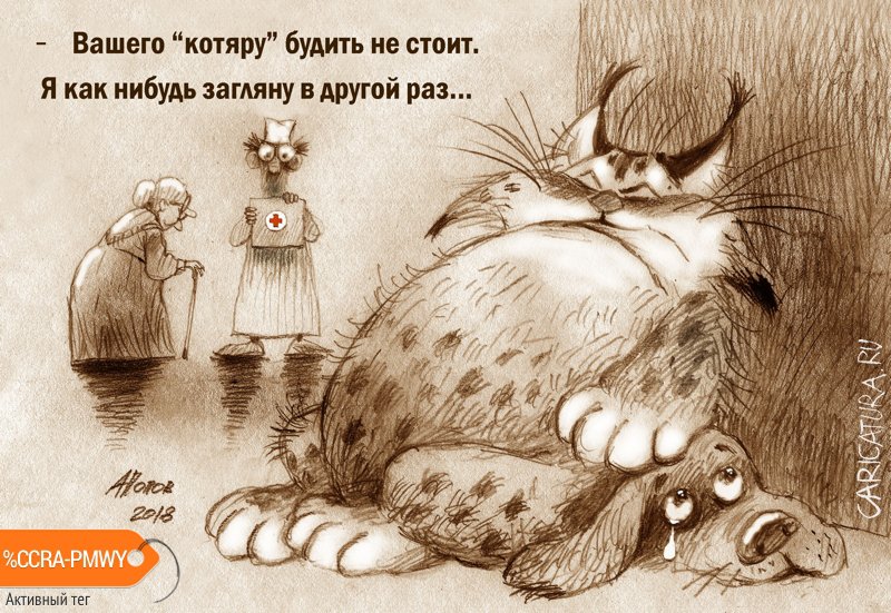 Карикатура "Псину жалко", Александр Попов