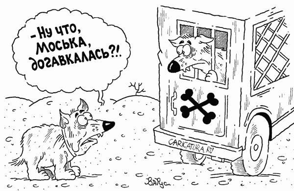 Карикатура "Моська", Руслан Валитов