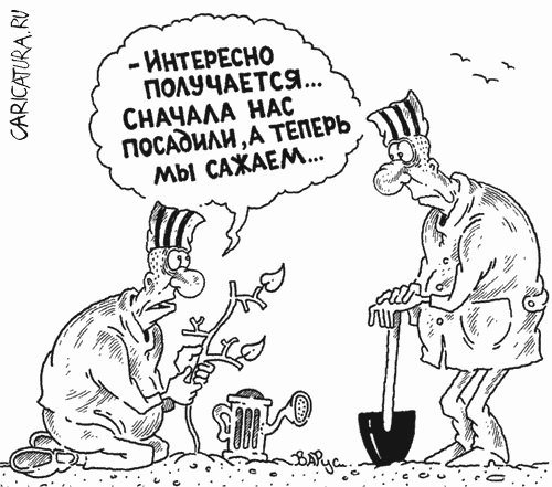 Карикатура "Саженцы", Руслан Валитов