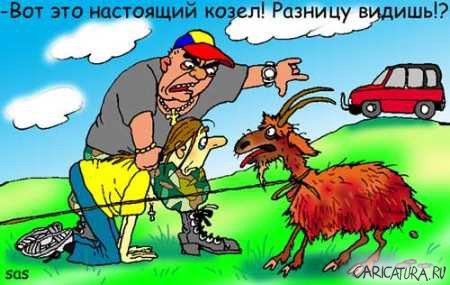 Карикатура "Настоящий козел", Сергей Самсонов