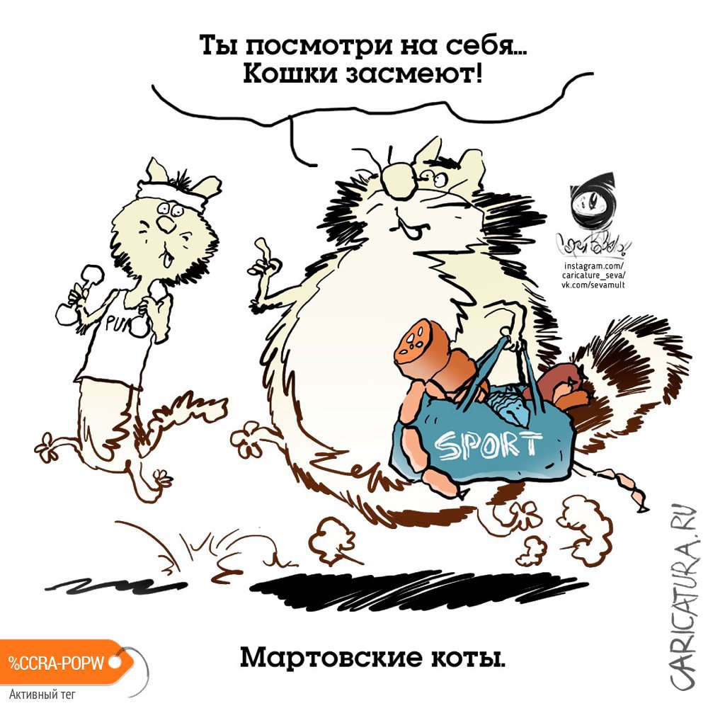Карикатура "Мартовские коты", Se Va