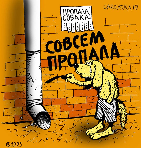 Карикатура "Пропала собака", Александр Сергеев