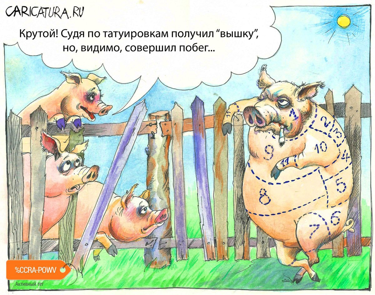 Карикатура "Крутой свин", Александр Шульпинов