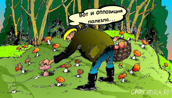 Карикатура "Грибник", Вячеслав Шляхов