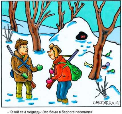 Карикатура "Бомж в берлоге", Виктор Собирайский