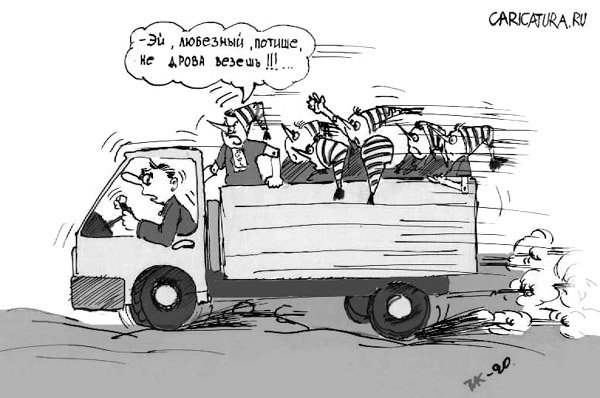 Карикатура "Мы не дрова!", Мавлюд Таштанов