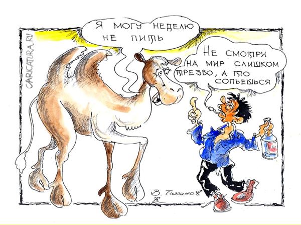 Карикатура "Непьющий верблюд", Владимир Тихонов