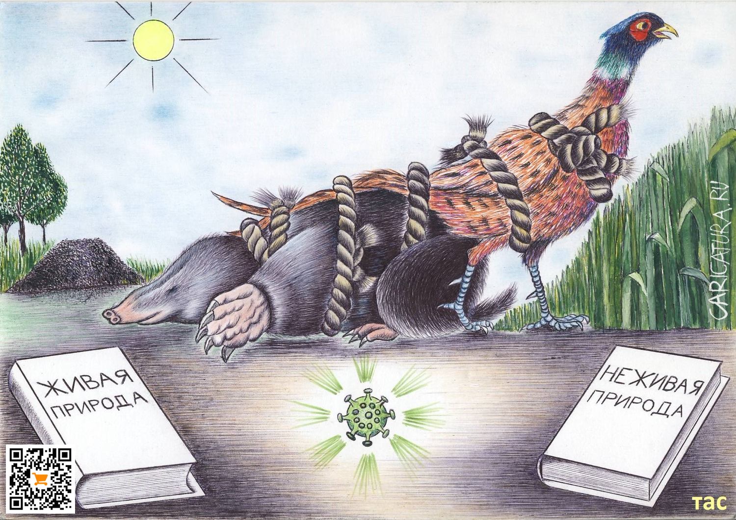 Карикатура "В природе все взаимосвязано", Александр Троицкий