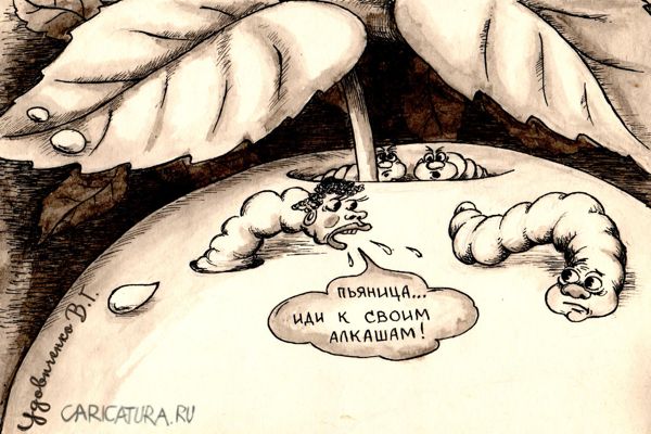 Карикатура "Белый налив", Валерий Удовиченко