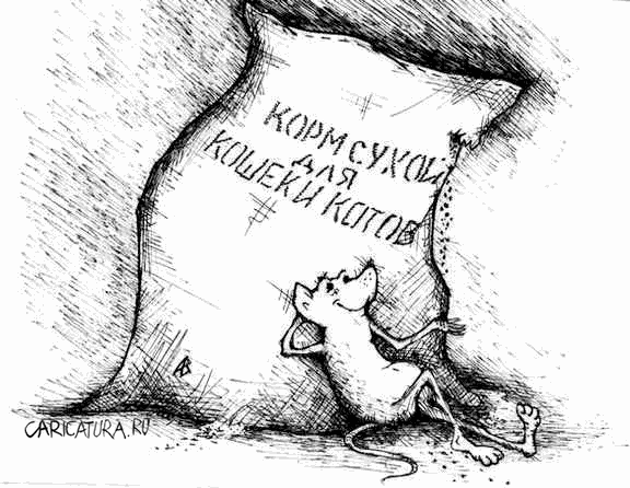 Карикатура "Вот это жизнь!", Андрей Василенко
