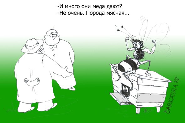 Карикатура "Яловые пчелы", Андрей Василенко