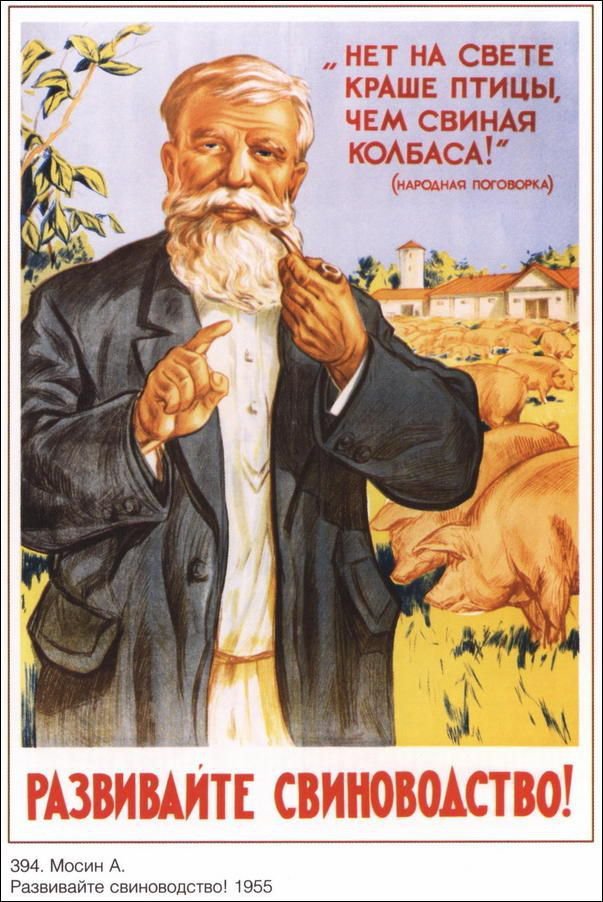 Плакат "Развивайте свиноводство!", Советский плакат
